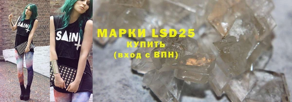 шишки Гусев