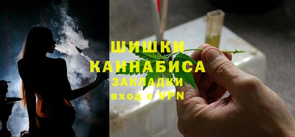 шишки Гусев