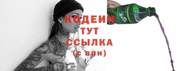 ГАЛЛЮЦИНОГЕННЫЕ ГРИБЫ Горняк