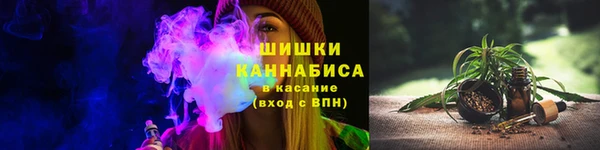 ГАЛЛЮЦИНОГЕННЫЕ ГРИБЫ Горняк