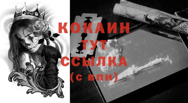 ГАЛЛЮЦИНОГЕННЫЕ ГРИБЫ Горняк