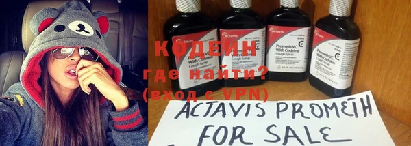 ГАЛЛЮЦИНОГЕННЫЕ ГРИБЫ Горняк