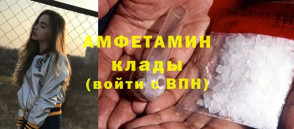 ГАЛЛЮЦИНОГЕННЫЕ ГРИБЫ Горняк