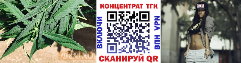 Купить где  Лодейное Поле  ТГК гашишное масло 